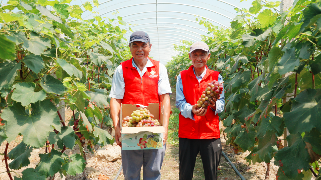 640 (1).png 640 (1).png